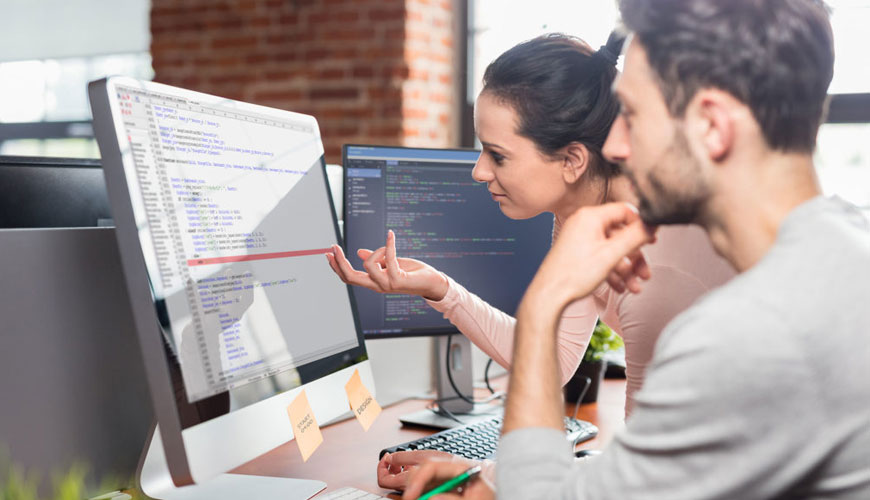 Software Development